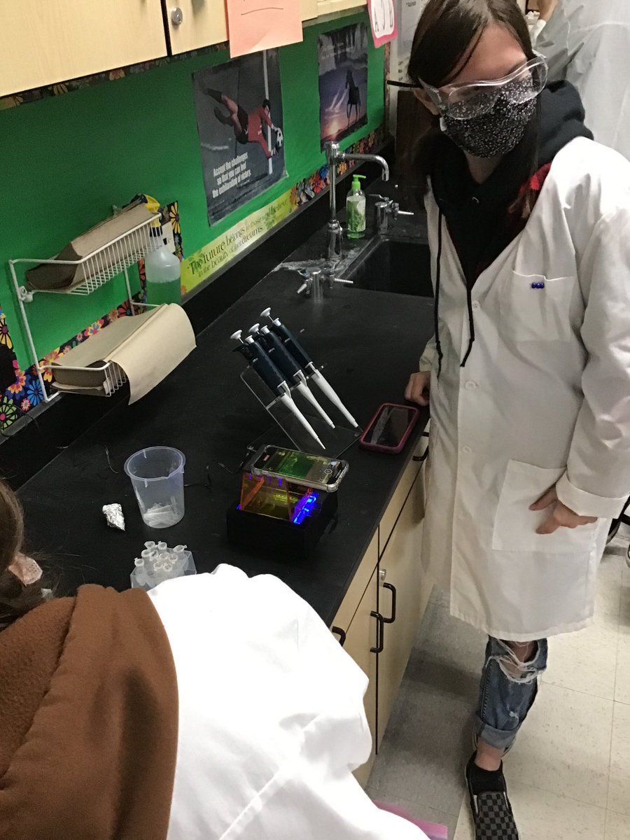 Today’s the day! Gel confirmation of how successful the BT students were at becoming genetic engineers.  ❤️ lab days ❤️ ⁦<a href="/AltaLomaHigh/">Principal</a>⁩