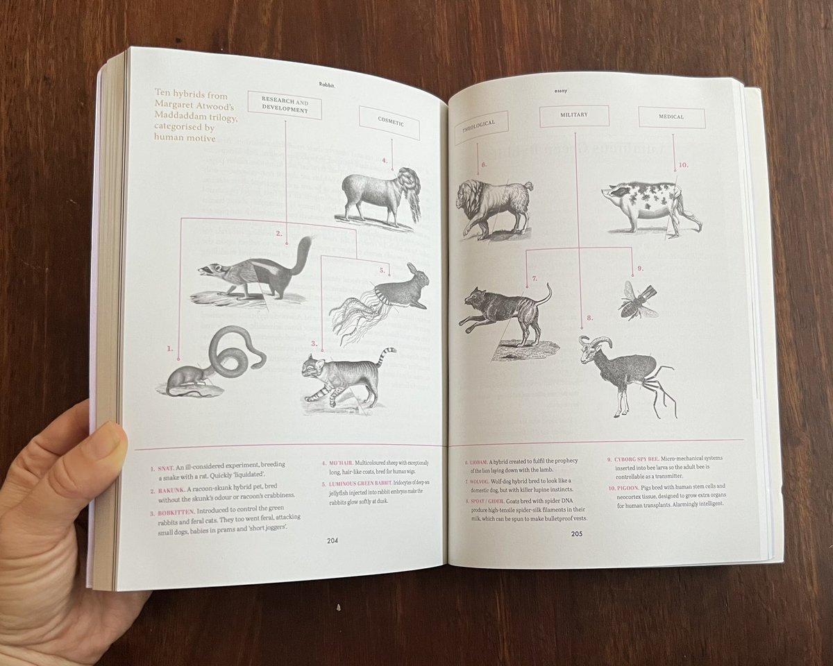 Zoe_Sadokierski's tweet photo. Another #visualessay experiment, this one in @RabbitPoetryAUS about my work visualising the relationship between @MargaretAtwood’s fiction and the real world science it’s based upon. #AcademicTwitter #infovis #sciencecommunication #biotech https://t.co/6e9xELmCdE