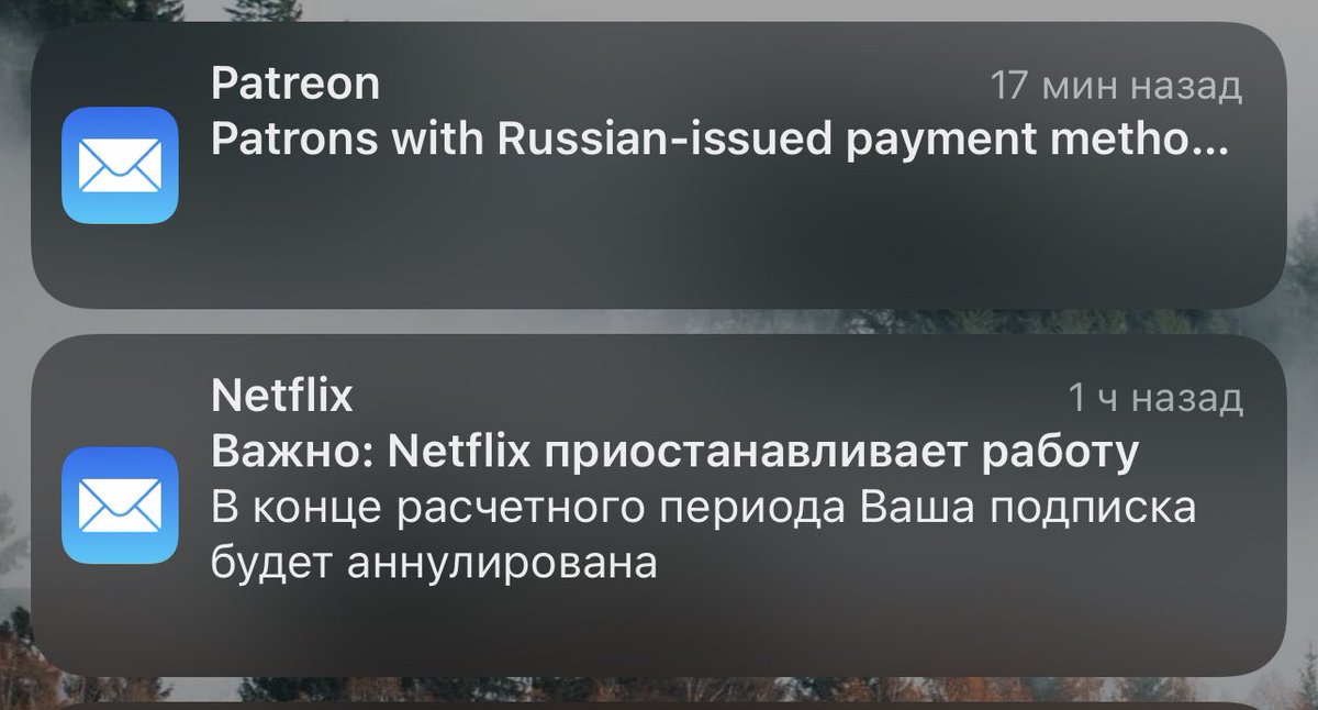 rodivilovaa's tweet photo. Вот таких писем уже больше, чем спама https://t.co/bMsN1Iwqsd