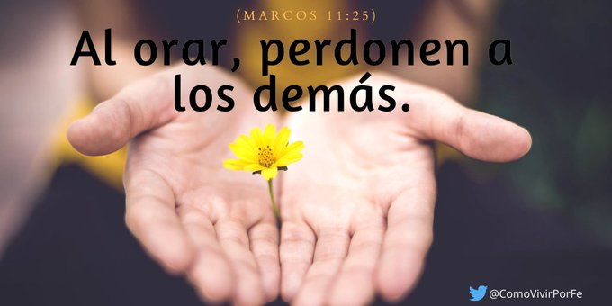 ComoVivirPorFe's tweet photo. Nuestra relación con Dios se centra alrededor de aprender a amar (o a perdonar) y de aprender a aceptar el amor (y el perdón).  

Si no aprendemos esto, entonces toda nuestra religión es inútil. https://t.co/VL9dNrzUqR