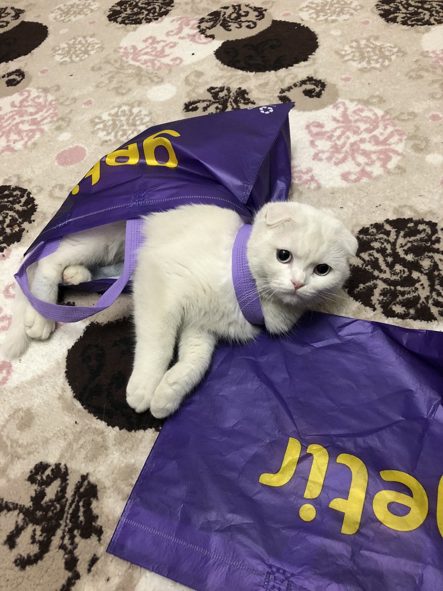 #8martdunyakadinlargunu kutlu olsun Hürrem 😊