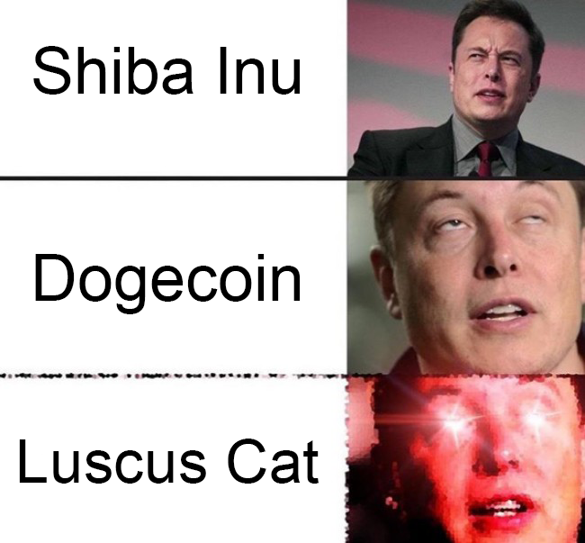 luscuscat's tweet photo. Elon Musk is having fun  😅 😅 😅

#Elon #ElonMusk #Crypto #cryptocurrency #cryptomemes #Memes #memesdaily #memes2022 #CryptoNews #Cryptoworld https://t.co/mMQIqAzaNL