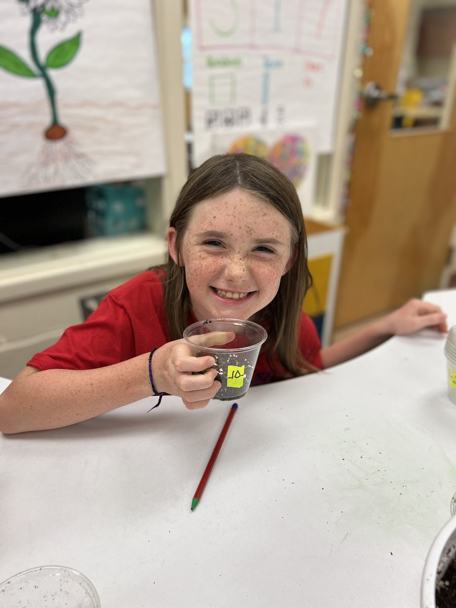 Mandy Keller tweet media