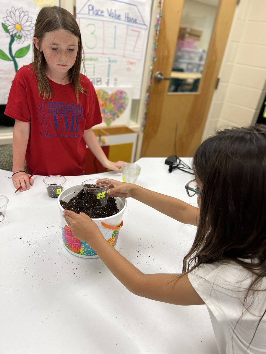 Mandy Keller tweet media