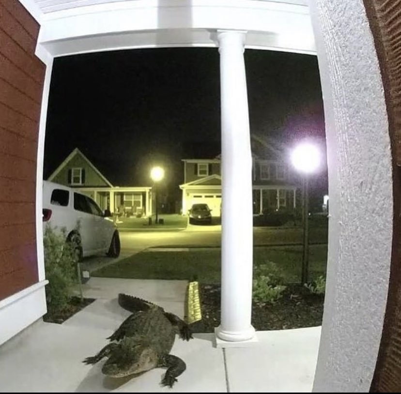 Yeah hi I’m ur Uber eats driver and I’m so so sorry but I ate ur food on the way here