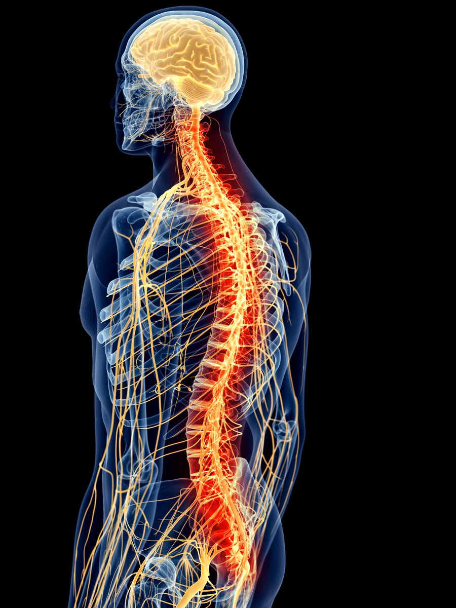 neurosurgery's tweet photo. Neurosurgical patients w/#BrainTumors, degenerative #spine disorders, #stroke, #Parkinsons &amp; more, need #TimelyAccess to care or face permanent neurologic damage &amp; sometimes death. #Congress must pass #HR3173/#S3018 to #FixPriorAuth &amp; remove barriers to medically necessary care! https://t.co/6WbKMRL8BK