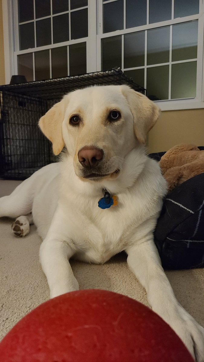 Carrie Jorgensen tweet media