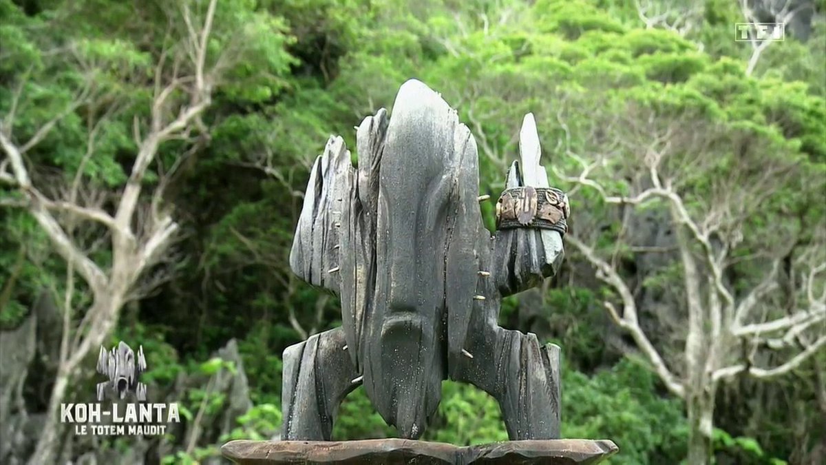 #KohLanta
Le totem maudit , lui même est maudit 🌴😅 #KohLantaLeTotemMaudit