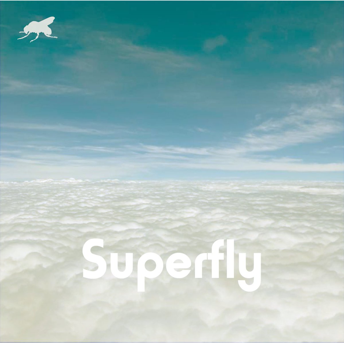 PolenRecords's tweet photo. ¿Ya nos sigues en @SpotifyColombia? Tenemos nuevas playlists actualizadas para refrescar los oídos. Escúchalas y síguelas aquí: Fly High: https://t.co/KwCJMyoqyT y Superfly: https://t.co/9clIPZOjso https://t.co/rmBAlzDcjr