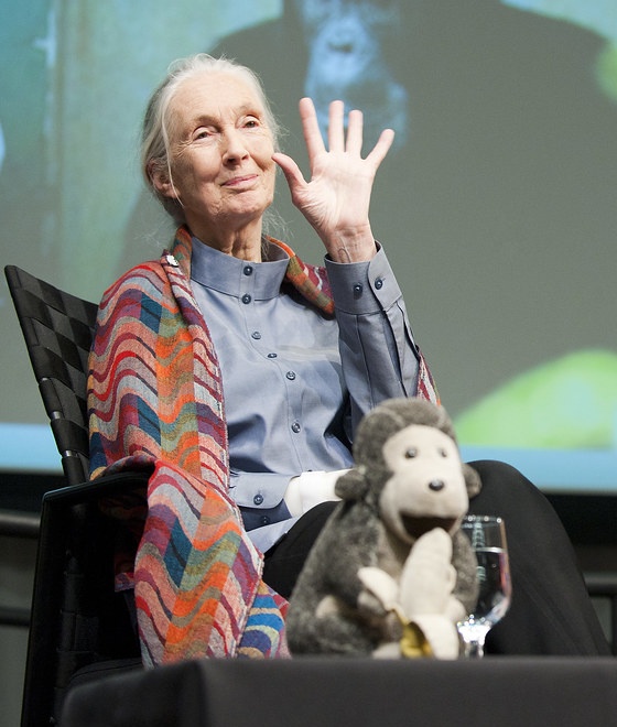 The Female Lead tweet media