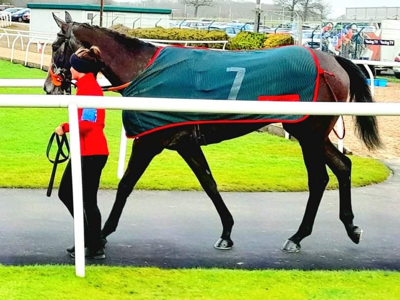 BurrowSeven has been declared to run on Thursday <a href="/CarlisleRaces/">Carlisle Racecourse</a> who generously offered discounted admission to all B7 Racing Club members so please check your emails. 
We also have a ballot to go racing as an owner! Jedd and the B7 Team hope to see you there!