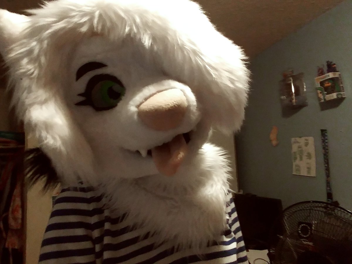 Snowball🏳️‍⚧️🏳️‍🌈snowballwolf.bsky.social tweet media