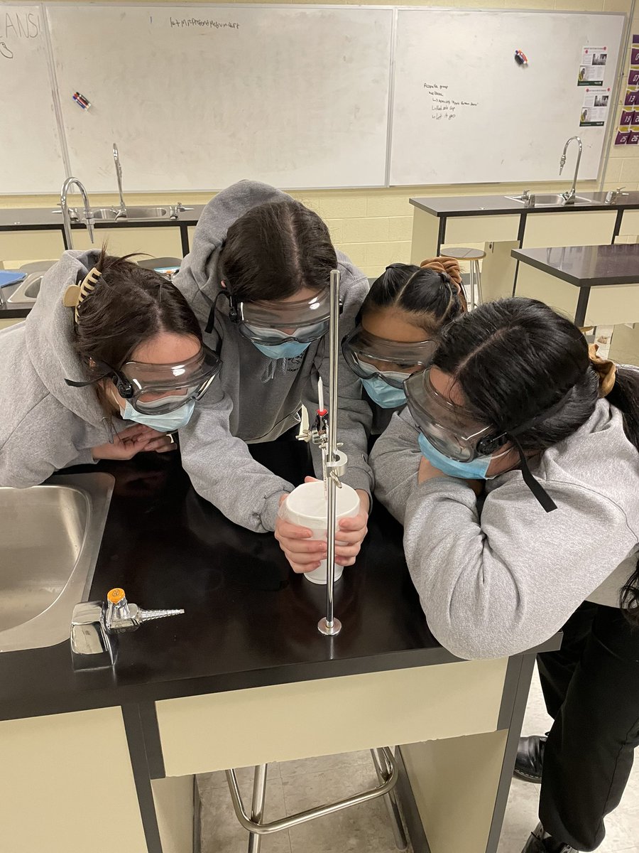 Brittany MacPherson tweet media