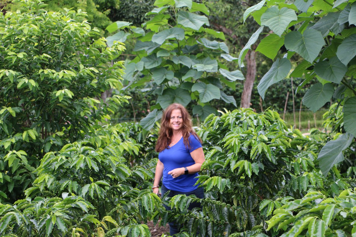 World Tree tweet media