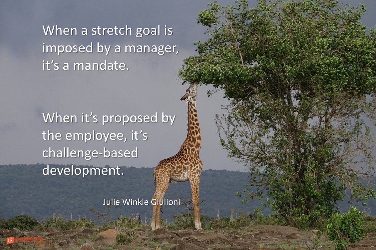 Comm_WYIM's tweet photo. How to Challenge People https://t.co/U9FvU0PS7y #communicationtips #greatleadership https://t.co/z4zMS35cXL