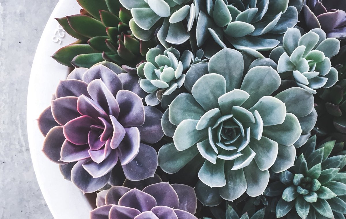 Happy International Women’s Day to the love of my life. My ride or die. The one who I can always count on. You’re one of the fiercest souls I know. Te quiero, luz de mi vida. <a href="/AmbiguousWonder/">Phoebe Delphine 🌩</a>