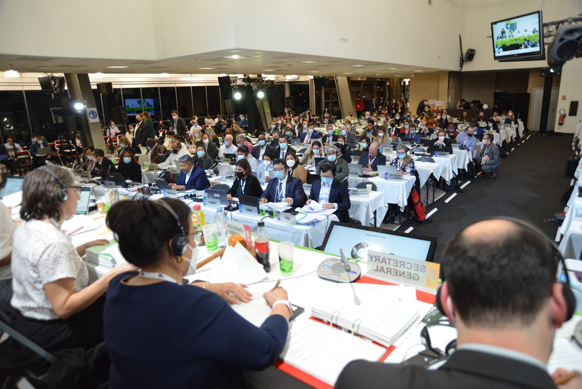 CITES's tweet photo. 9.45pm and #SC74 is talking #wildlife crime on the internet. We're hearing of the initiatives CITES is taking in partnership with #INTERPOL to combat this growing problem https://t.co/9QXcQs7ZCn