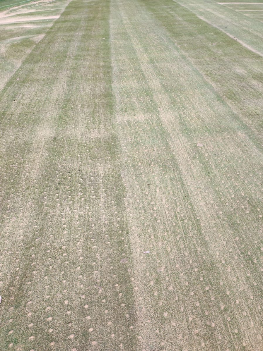 Jim Gilchrist tweet media