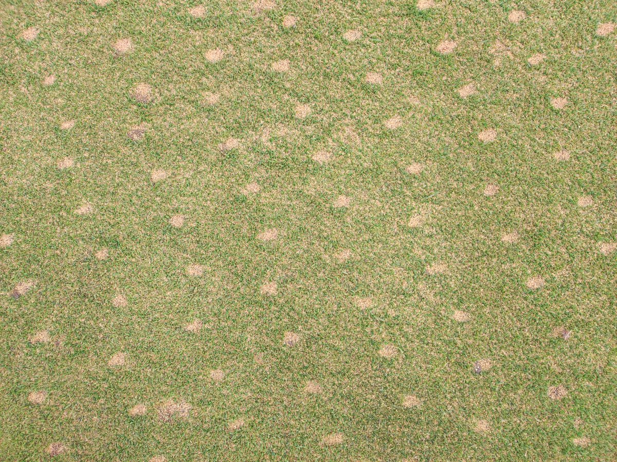 Jim Gilchrist tweet media