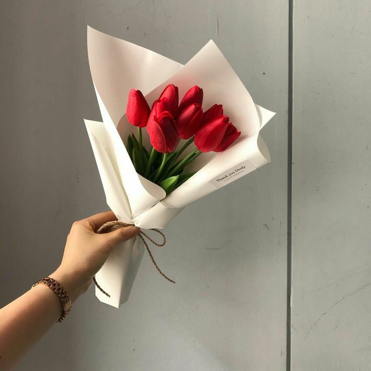 ㅤㅤㅤㅤㅤ
⁕ 𝐏eָdɩׂd𝆬ɔ: tulipas

⿻ 𝐃e: James 
⿻ 𝐏aɾɑ: @frdydanverss @natshrfrdy @frdyyele  
𖥸 𝐌ensɑgeṃ ─┄
Todos dos dias são de vocês, mas hoje é especial. 
ㅤㅤㅤㅤㅤ﹌﹌﹌