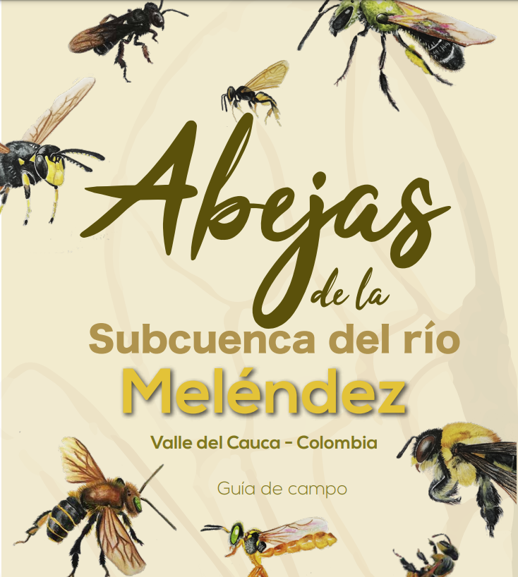 Most Colombian bees are undescribed and many regions of the country remain poorly sampled. We  hope this field guide to the #nativebees of western #Colombia, produced by @WCSColombia, help people to know and value their local biodiversity.
Available here: bit.ly/3i7tKtv