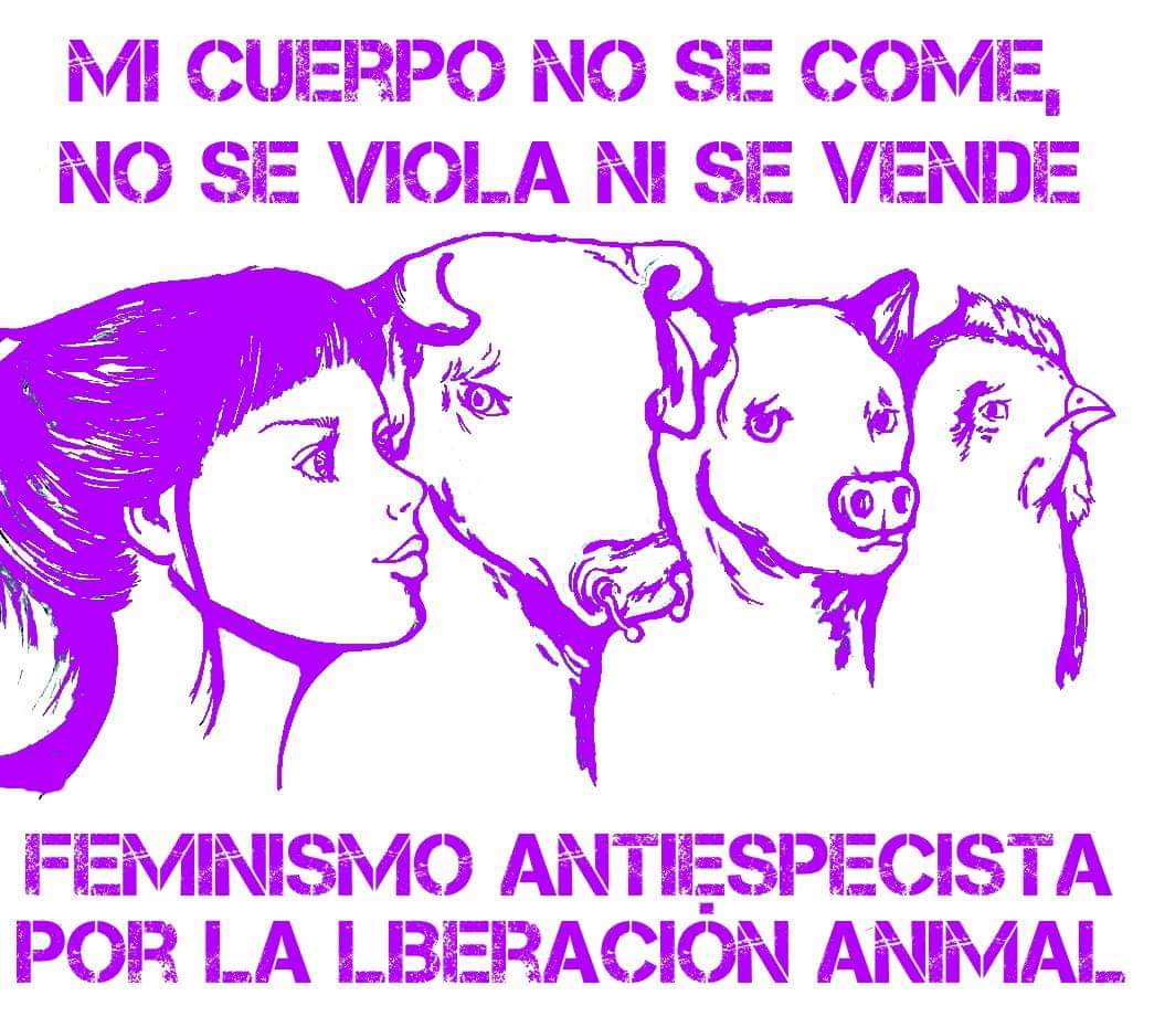 Feminismo y antiespecismo.

Ni oprimidas ni opresoras!

#8Marzo #Diadelamujer2022 #8Marzo2022