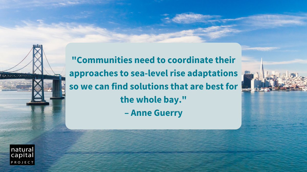 Background photo of San Francisco Bay, Bay Bridge, and San Francisco skyline. Text box in middle of image reads: "Communities need to coordinate their approaches to sea-level rise adaptations so we can find solutions that are best for the whole bay. – Anne Guerry" NatCap logo in bottom left corner.