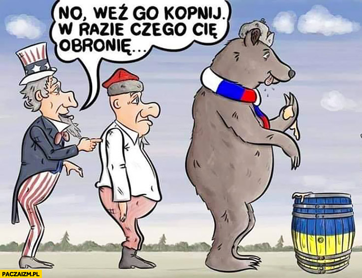 Zdjęcie