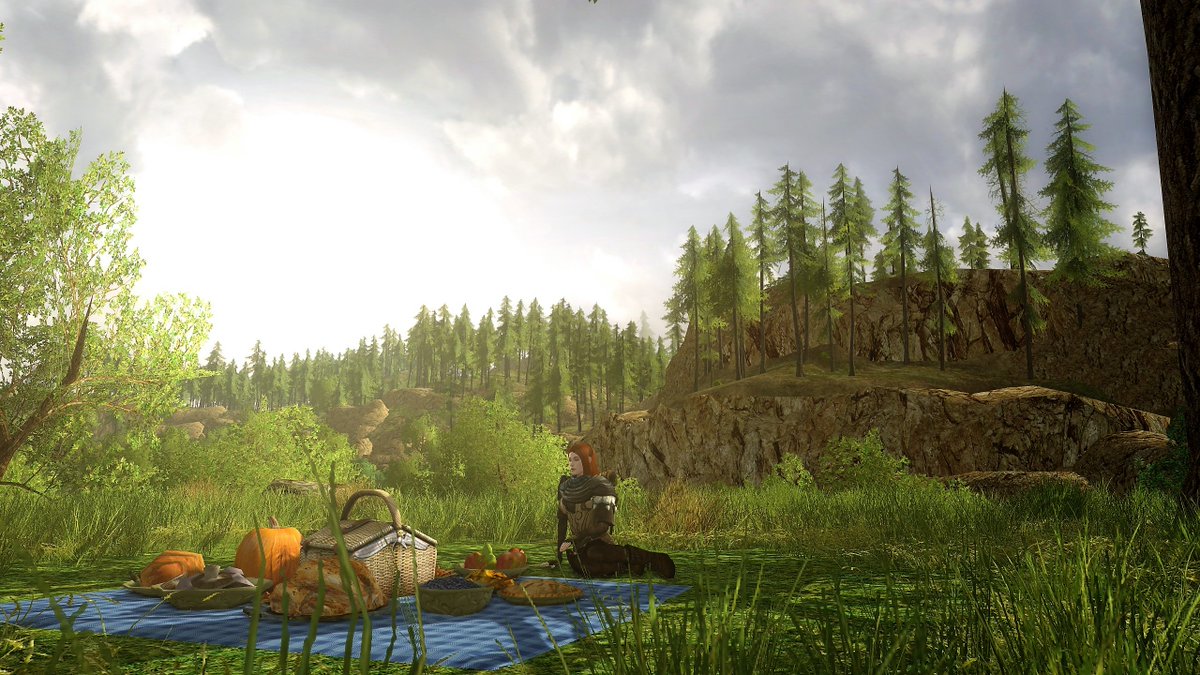 PinkWingedThing's tweet image. There's always time to stop for a picnic. #lotro #lotrofamily
