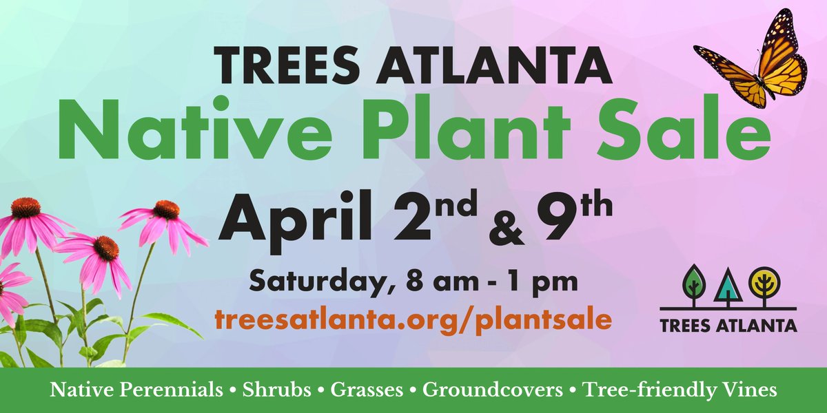 Trees Atlanta tweet media