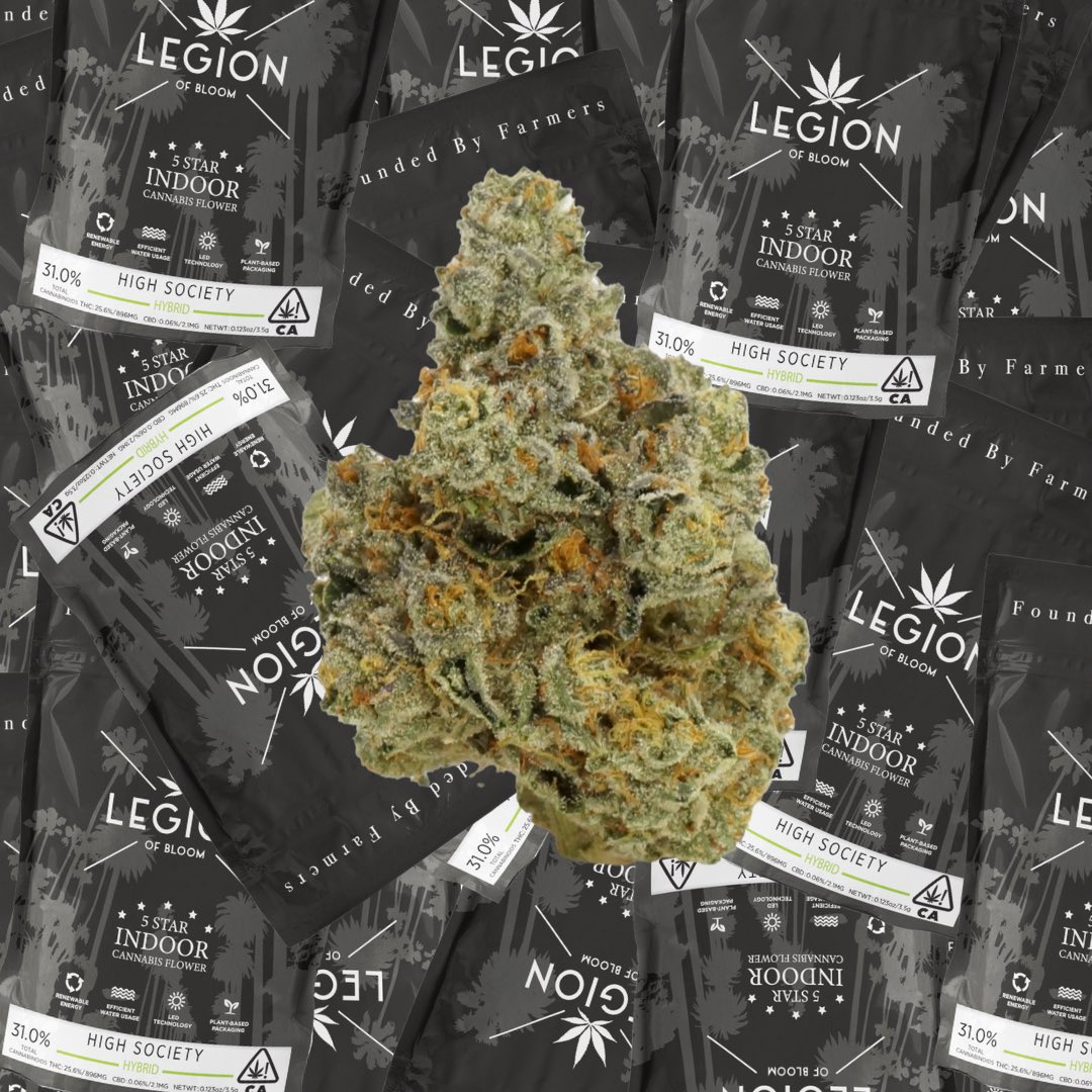 The Legion Of Bloom on Twitter "High Society (Biscotti x (Jet Fuel x Gelato) Sweet and floral