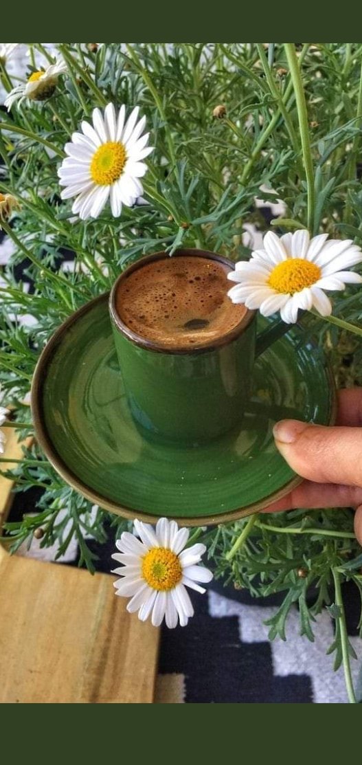uzayliibirii's tweet photo. Ne çıkar yanımda olmasan….
Kalbim❤️senden #ibaret değil’mi….
Uzaktan #sevmek zor demiş’sin….
Etme sevdam❤️….
Görmeden #sevmek 
#ibadet degil’mi…….!!!!!!!
#Cemalsüreya
#bi_kahve ☕ içelim güzelleşelim,yine ay🌙 doğsun..
#geceye  🌙🌻🌼🌻🌼 https://t.co/k4Hf6bWOkj