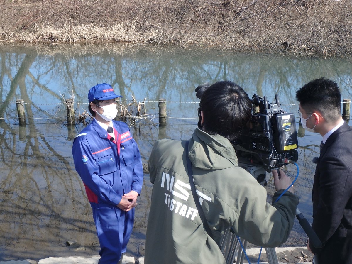 mlit_uetsu's tweet photo. #羽越河川国道事務所 では、#荒川 に生息している希少種 #トミヨ の保全のため、「たんぽ（湧水ワンドの地域呼称）」の整備をしています🐟
今回、トミヨとその保全活動について、 #新潟総合テレビ さんから取材を受けました📺
本日18時9分からの #NSTNewsタッチ で放映予定です。皆さんご覧ください✨ https://t.co/A2p5Tq5ioj