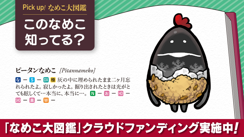 Pick Up！なめこ大図鑑】 ピータンなめこ、知ってる？ 1101種完全網羅
