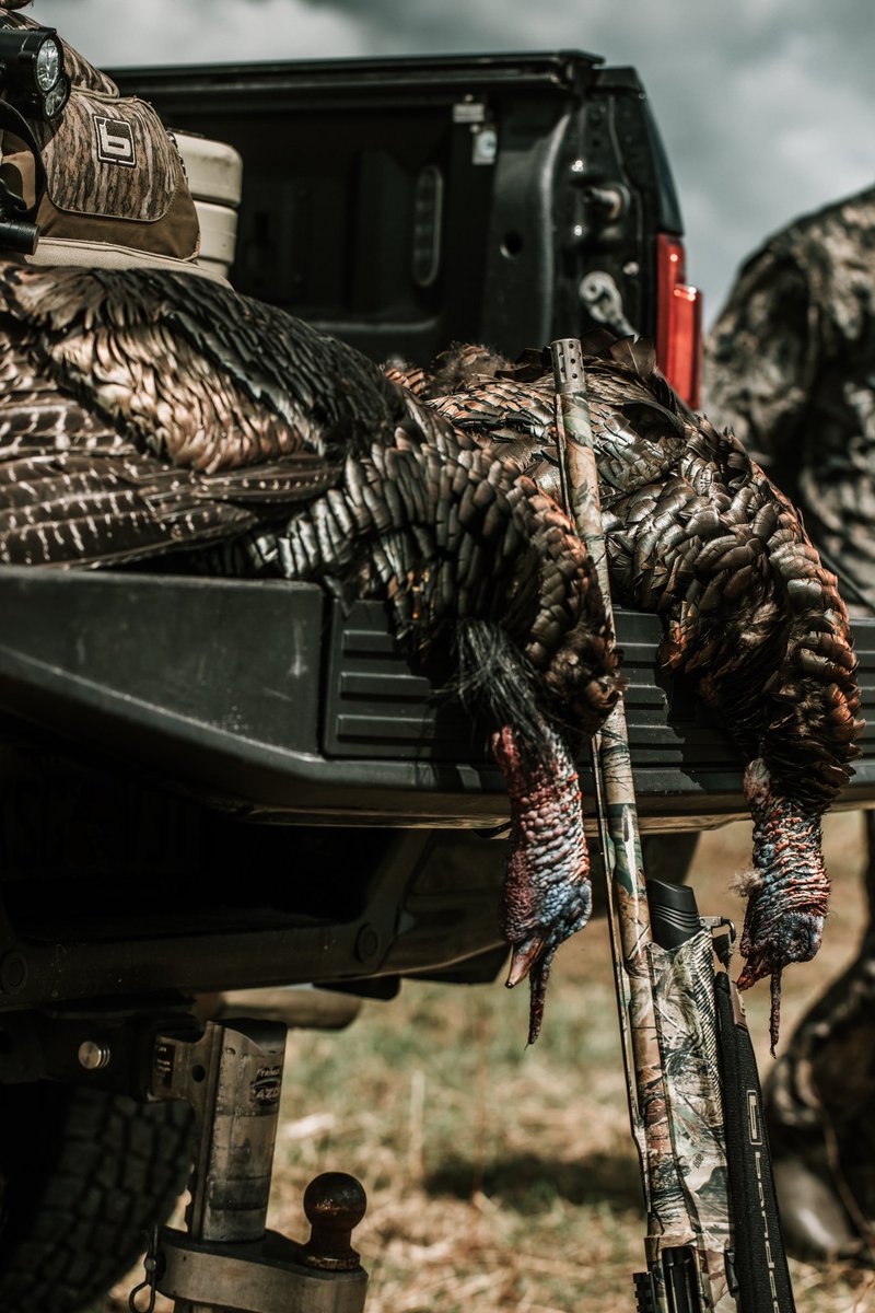 KZoneAR's tweet photo. Florida Turkey Opener✅ https://t.co/lLhfopAZDa
