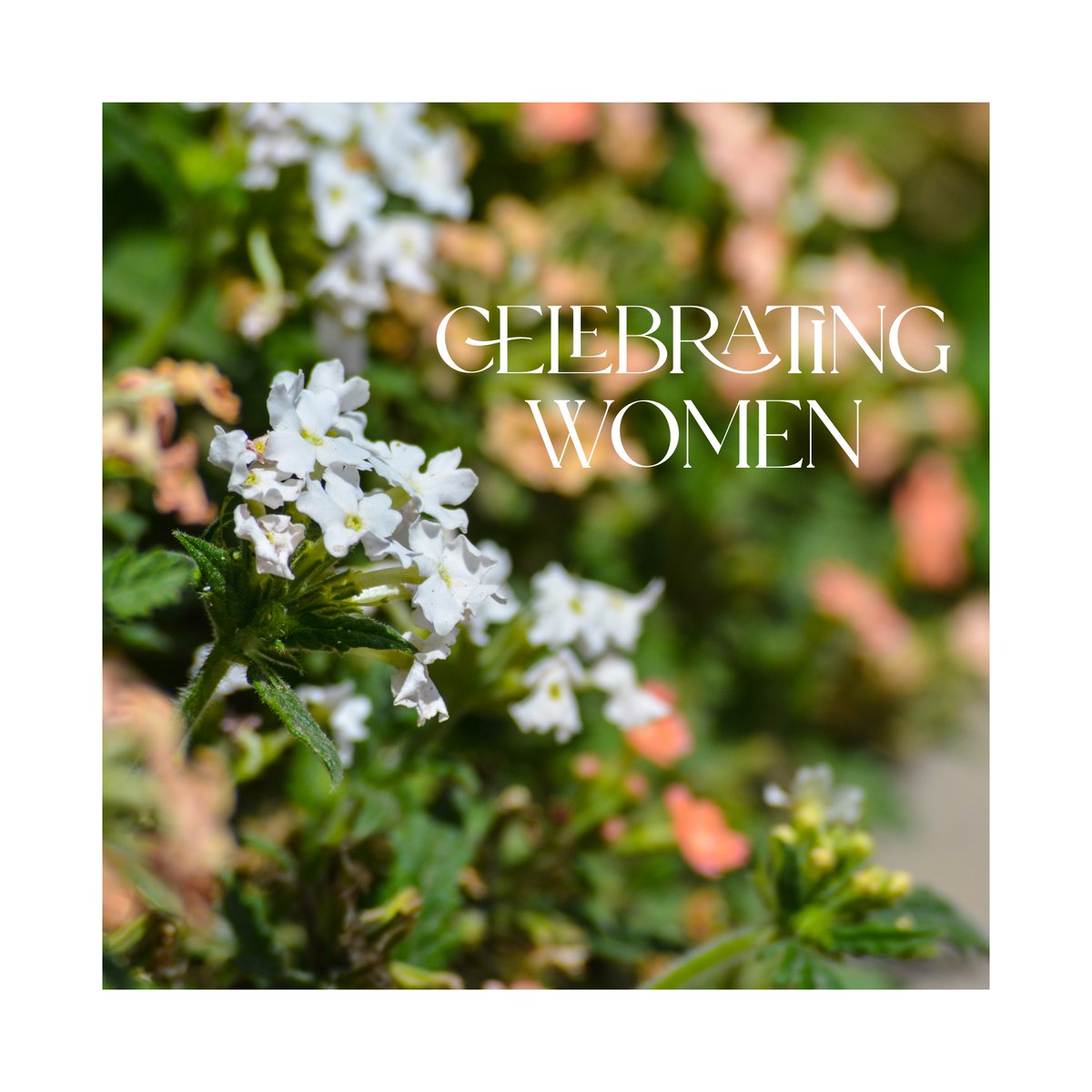 Celebrating women today and everyday. 
Happy International Women’s Day! 

We’re grateful for the women that work alongside us and partner with us - inspiring us to do better and be better everyday!
#IWD2022 #breakthebias #talentstream