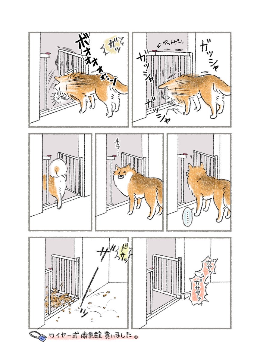 ペットのキッチン出入り防止は 人類vs動物の戦い でもある キッチン侵入事件 悪い顔してますなぁ 笑 Togetter