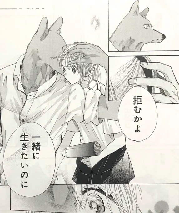 #キミと越えて恋になる
マンガmeeさんで最新話配信開始しました!

新キャラ登場です〜!よろしくお願いします🐺🌼⛄️🐱 