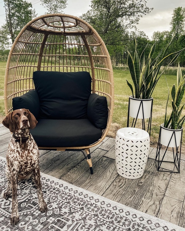 BCProducts's tweet photo. There’s something about seeing furry friends enjoying their BCP Egg Chairs 🐾❤️🥰
📸(IG): @thisfabilouslife @stripped.and.styled @kingsleythedoodles @my.blessed.home
#eggchairs #adorablepets #homedecorinspo #mybcp #outdoorliving https://t.co/txZ4oOxiSX