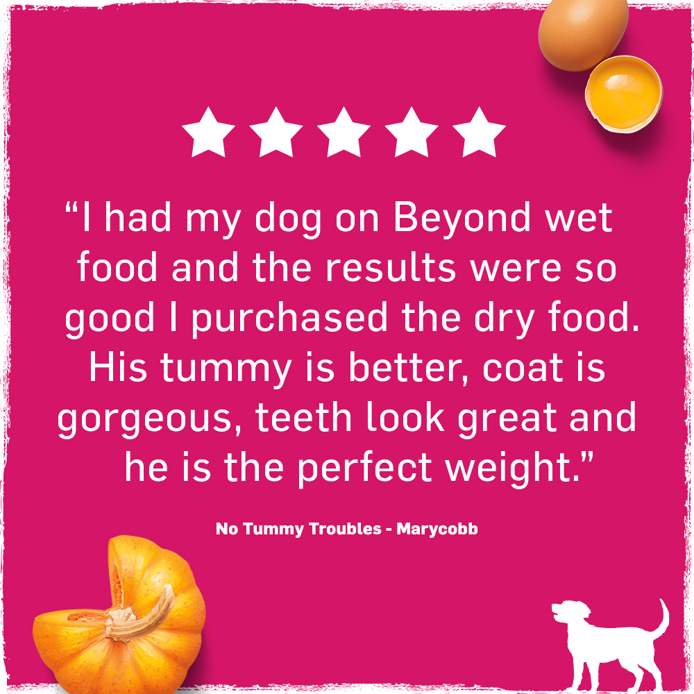 The reviews are in—you &amp; your pups are loving our Superfood Blend Recipe Dry Dog Food! This nutrient-dense dry recipe is complete &amp; balanced for adult dogs and even includes natural probiotics to support digestive and immune health. Shop here!  purinabitly.uspurina.acsitefactory.com/superfood-TW