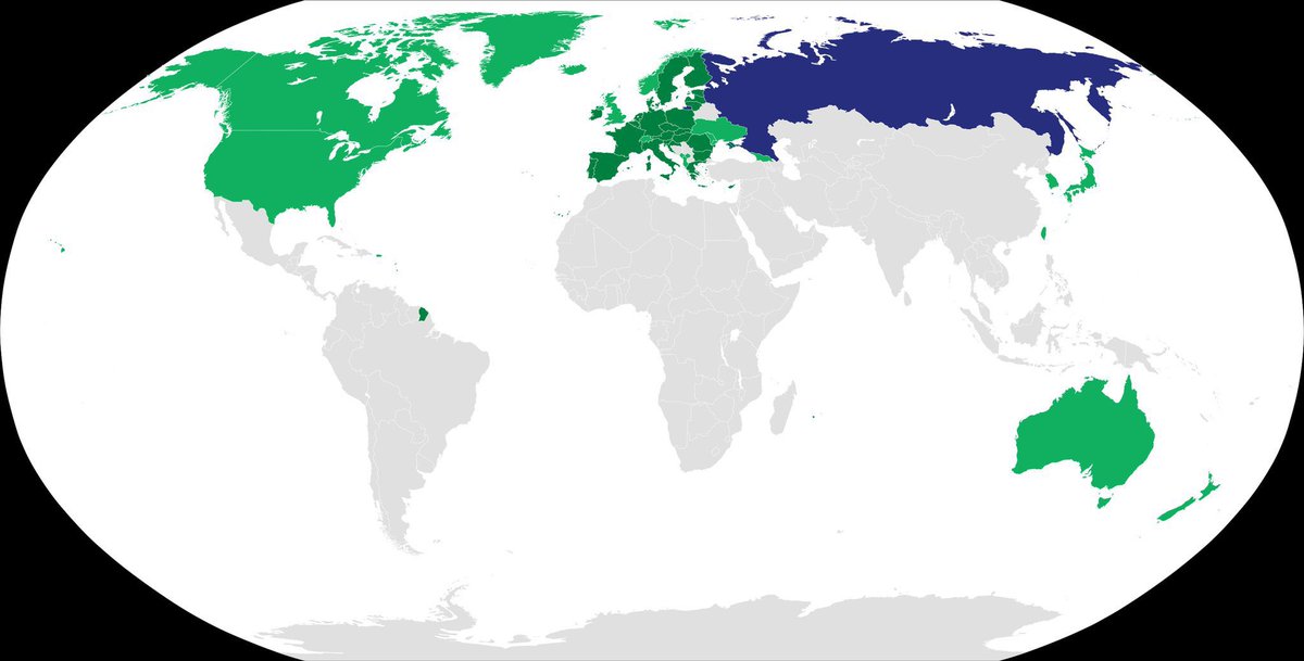 Florina Plaveti tweet media