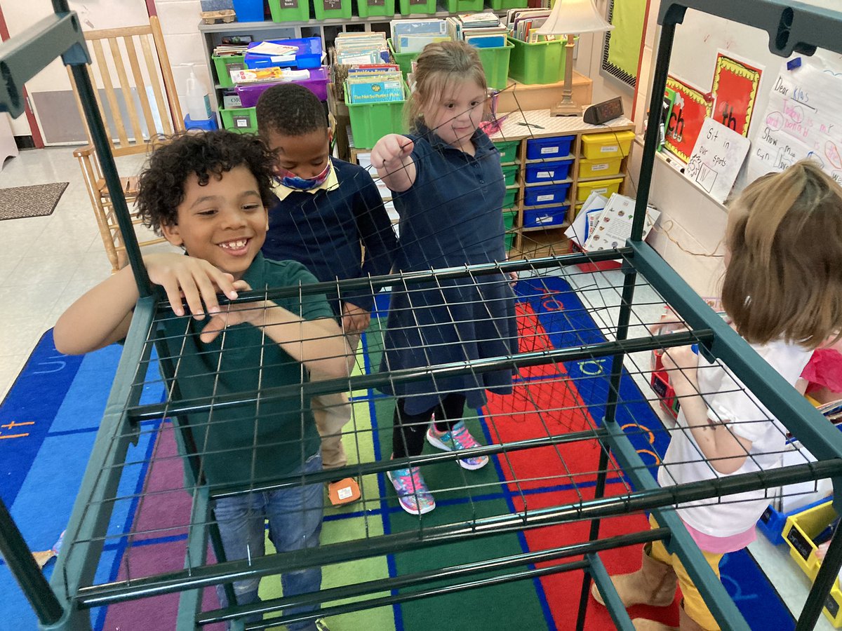 My dad bought my class a greenhouse for my birthday. Isn’t he the best?!? 🌱 #BeeTheChange