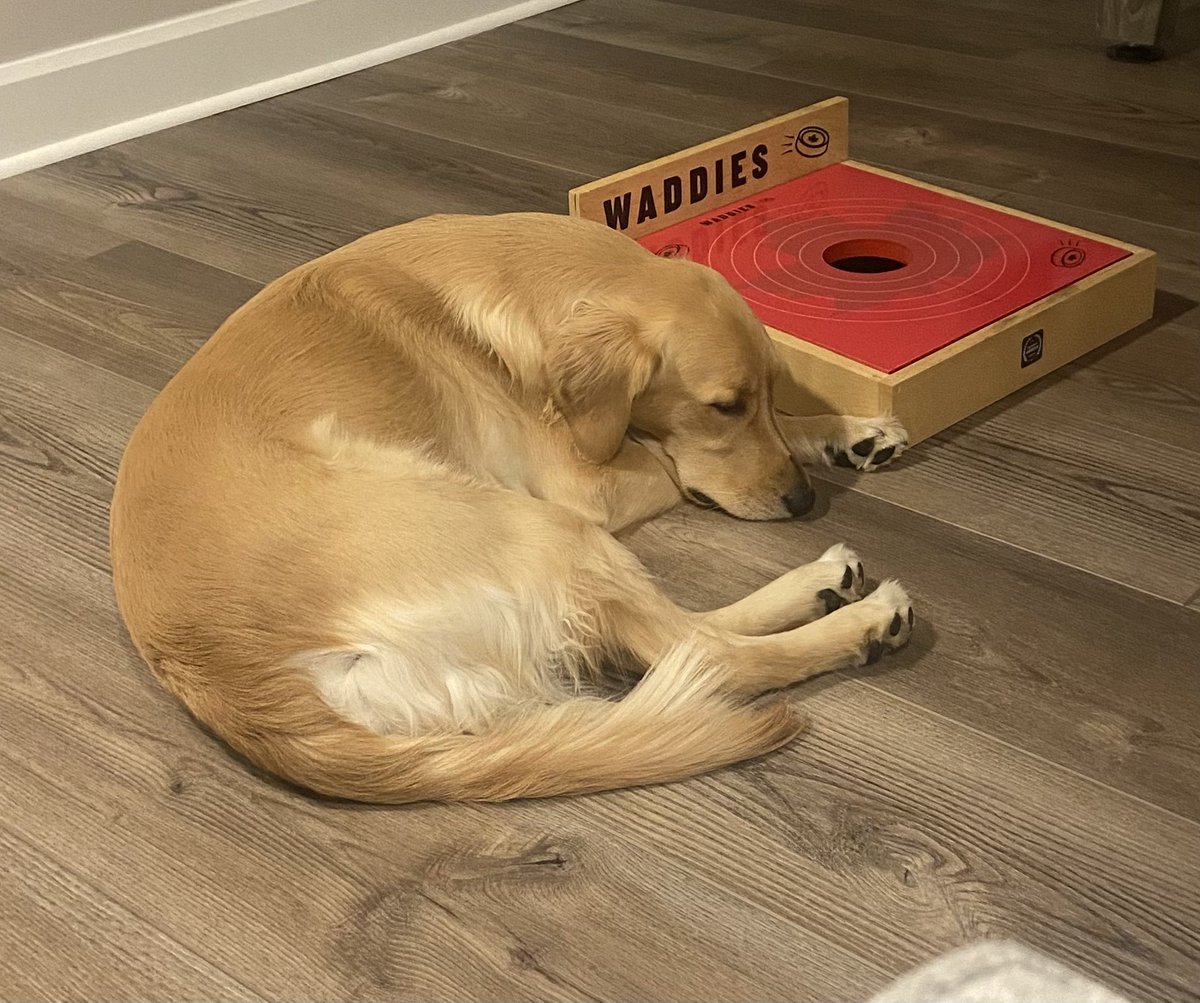 JeffMcLean79's tweet photo. @MissMargoPrice She is named after you…was between Margo, Jolene and Isbell (before we knew if we were getting a male or female). https://t.co/RUk7GPgOnt