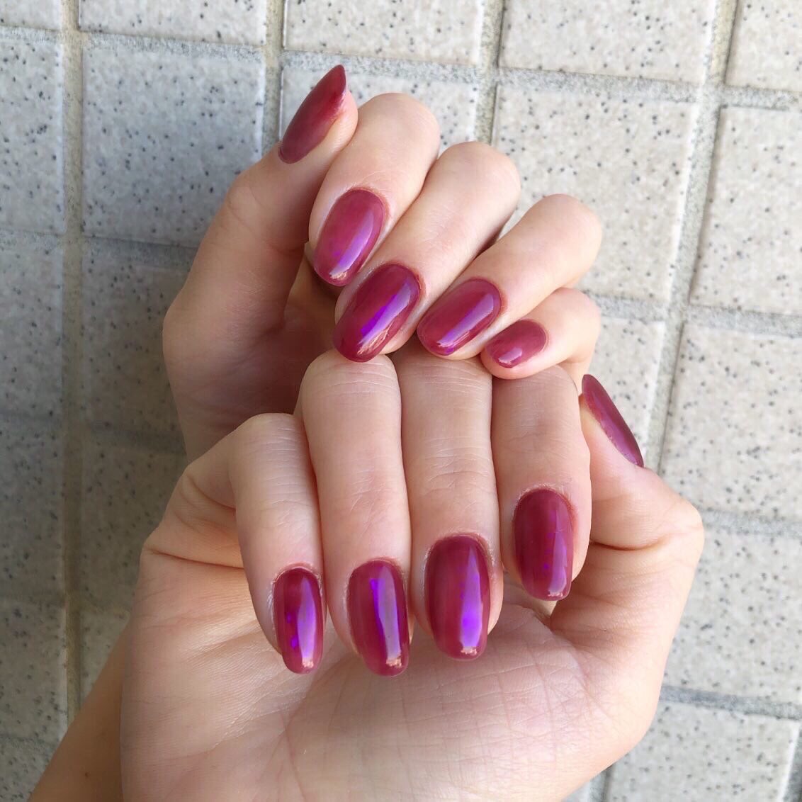 HOMEI_nail's tweet photo. 渋谷アトリエ　ねこ

つや〜んなmy nail･:*+.\(( °ω° ))/.:+

本日も渋谷アトリエに入店してます〜🥳

#HOMEIウィークリージェル
#ワンカラーネイル
#NE134 https://t.co/q0J0snR1eg