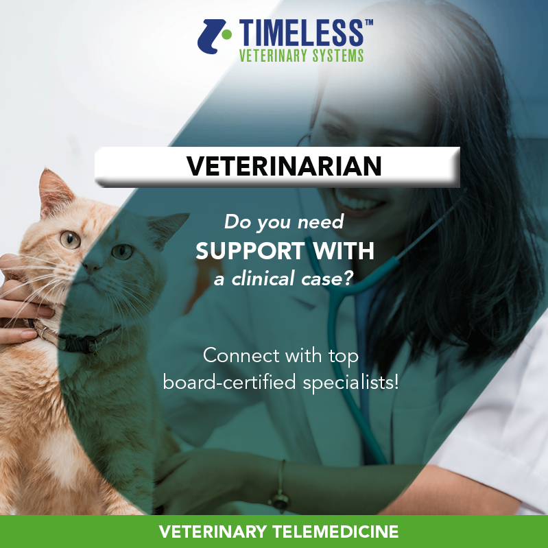 Timeless Veterinary tweet media