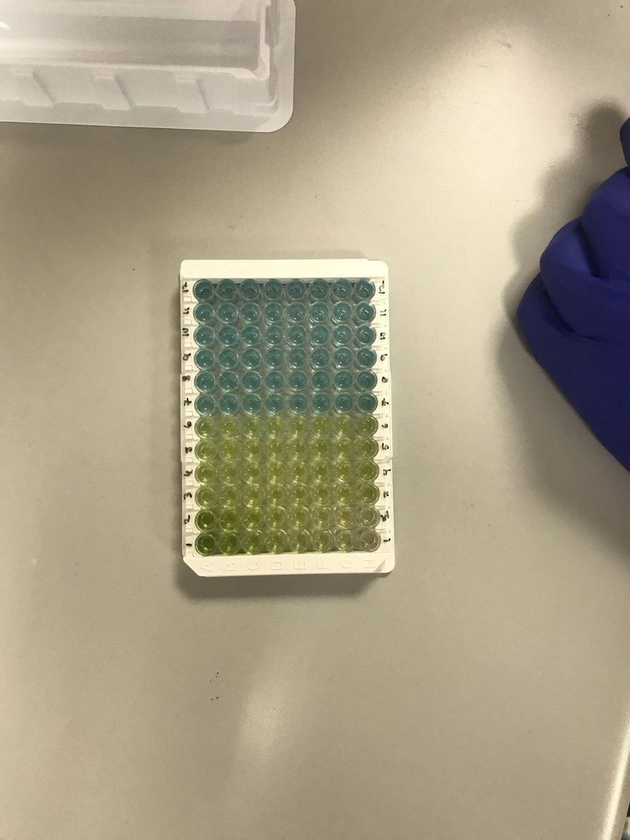 LoisSRoss's tweet photo. Celebrating international women’s day today by completing lab analysis for my final year project! https://t.co/Md7TgHNYXS