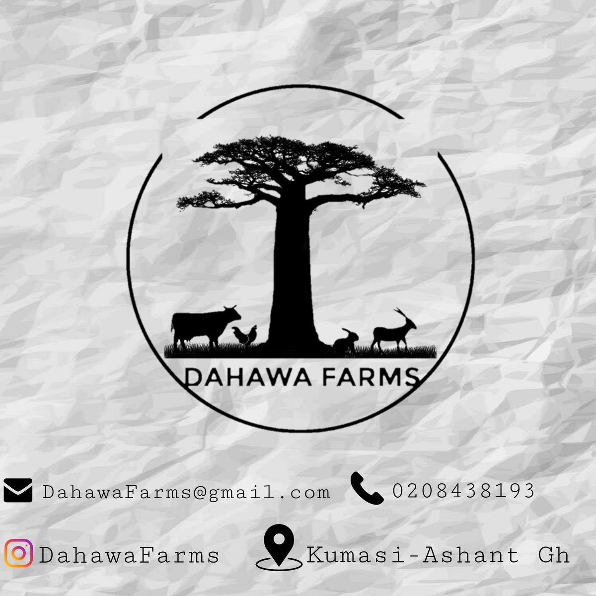 Dahawa4's tweet photo. Dahawa to the world 🌎 https://t.co/GigLB7dxGB
