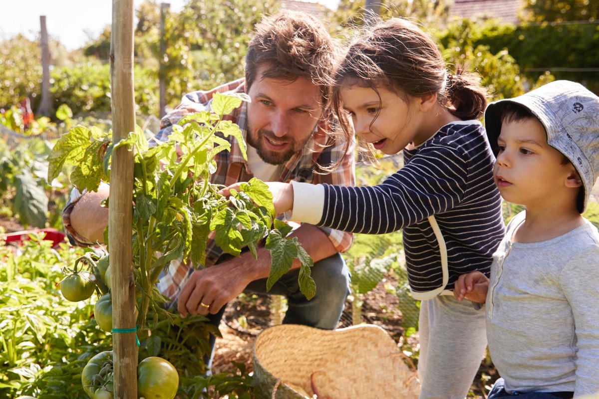 Go check it out: <a href="/DASH_connect/">DASH</a> just released its latest publication! 🎉

It shows how sharing #data across different sectors can improve the #health of communities.

Learn more about DASH's exciting funding program: iphionline.org/dash-releases-…

#equity