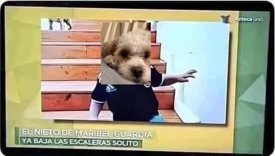 🛌 (cama) tweet media