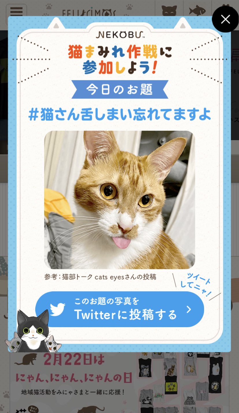 フェリシモ 猫部 Felissimonekobu Twitter